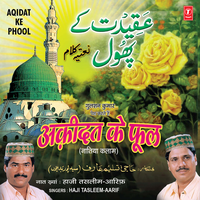 Ab Jikra - E - Nabi Hoga - Haji Tasleem Aarif