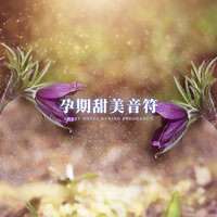 孕期心灵旋律 - 养生音乐盒