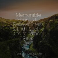 All Day Relaxation - Calming Sounds & Yoga Sounds & Ambient Music Therapy