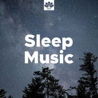 Namaste (Indian Flute Music) - Sleep n Love & Shakuhachi Sakano & Shakuhachi Sakano & Sleep n Love
