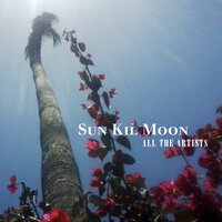 Bees on Echinacea - Sun Kil Moon