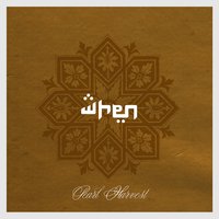 Pearl-Harvest - When