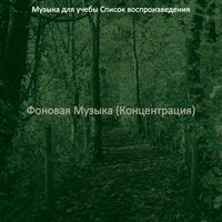 Моменты (Изучение) - Музыка для учебы Список воспроизведения