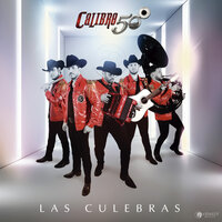 El Amor De Mi Vida - Calibre 50