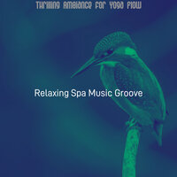 Delightful Shakuhachi and Harps - Vibe for Spa Treatments - Relaxing Spa Music Groove