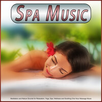 Relaxing Zen Piano Music - Spa & Spa Music & Spa Music Relaxation