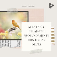 Los pájaros piar musicales - Música Calmante