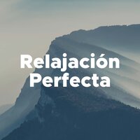 Estrés - Música Para Meditar y Relajarse & Wellness N Wellness & Musica Para Meditar y Relajarse & Wellness n Wellness