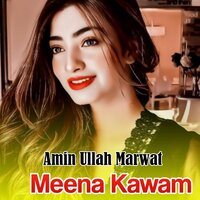 Pa Tandi Ashdi Khalona - Amin Ullah Marwat
