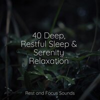 Leaves In the Breeze - Binaural Beats Brain Waves Isochronic Tones Brainwave Entrainment & The White Noise Zen & Meditation Sound Lab & Deep Sleep Relaxation