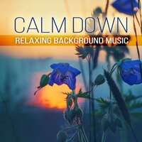 Relaxing Background Music - Positive & Happy Music Zone