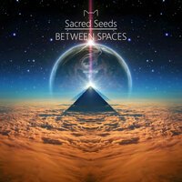 Lavender Lights - Sacred Seeds