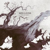 Splinters - Mirror of Deception