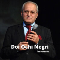 Hora De La Ciorani - Nelu Ploiesteanu
