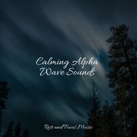 Contentment - Chillout Lounge & Happy Baby Lullaby Collection & Relaxation Music Guru