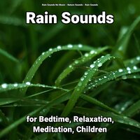 Sleep Insomnia - Nature Sounds & Rain Sounds & Rain Sounds No Music