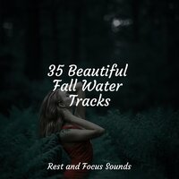 Journey to Enlightenment - Easy Sleep Music & Childrens Music & Musica relajante