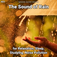 Tranquil Times - Calming Sounds & Rain Sounds & Nature Sounds