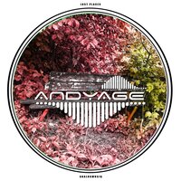 Lost In Time Serenade - Andyage