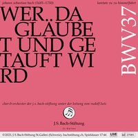 Wer da gläubet und getauft wird, BWV 37: IV. Rezitativ (Bass) - Ihr Sterblichen, verlanget ihr mit mir - Matthias Helm & Orchester der J.S. Bach-Stiftung & Rudolf Lutz & Johann Sebastian Bach