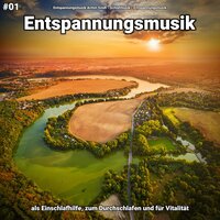 Entspannungsmusik pt. 3 - Entspannungsmusik Armin Sindt & Schlafmusik & Entspannungsmusik