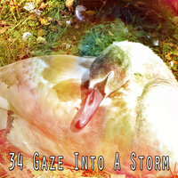 Отголоски мыслей о дождливом дне - Sounds Of Nature : Thunderstorm, Rain