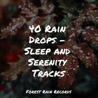 Tweeting Birds - Pure Serenity Spa Music & Massage Collective Garden & Zen Relaxation Meditation & Chakra Balancing Sound Therapy & Bedtime Baby
