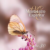 A Lição da Árvore - Momento Espírita