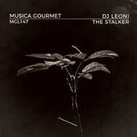 The Stalker - Dj Leoni