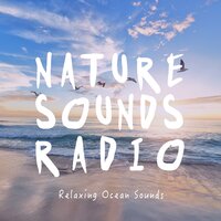 Ocean Sounds: Calm Waves - Nature Sounds Radio