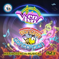 El Vampiro - Marimba Orquesta Sonora Concepción