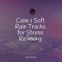Tranquil Seas - Ready Baby Music! & Lluvia PQ & Deep Sleep Music Academy