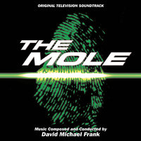 751 Sheep - David Michael Frank