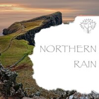 The Rainforest - Rain Sounds & Natural Spirit