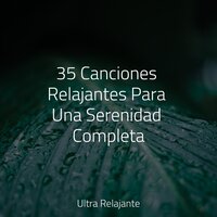 Vientos Acariciadores - Canciones de Cuna 101 & Meditação Zen & Unidad de música zen relajante