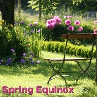 Clear Mind (Relaxing Piano Music) - Sounds of Nature White Noise for Mindfulness Meditation and Relaxation