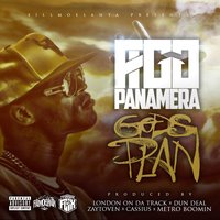 Flashing - Figg Panamera