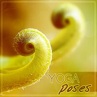 Yoga & Pilates - Yoga Music Followers