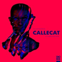 Planetarium - Callecat