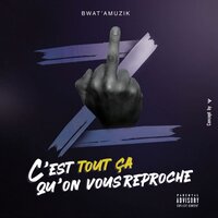C'est tout ça qu'on vous reproche - Z