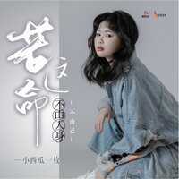 若这命不由人身不由己 - 小西瓜一枚 & DJ九零