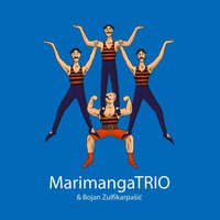 Mzati I Vogel - Marimanga Trio
