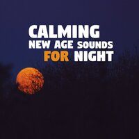 Music to Help You Sleep - Calming Music Ensemble