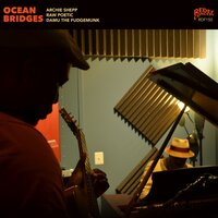Professor Shepp's Agenda 3 - Damu The Fudgemunk & Archie Shepp & Raw Poetic & Luke Stewart