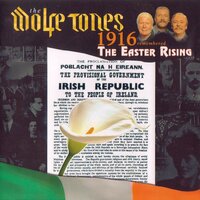 The Devil Is Dead - The Wolfe Tones