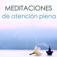 Anti Estres - Atención Plena