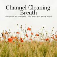 Healing Yoga - Vitamin Therapy