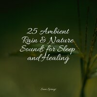 Rain in the Jungle - Chakra Meditation Universe & Sounds Of Nature : Thunderstorm & Nature Soundscape