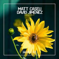 Can U Feel It - Matt Caseli & David Jiménez