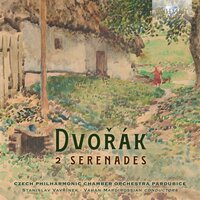 Serenade for Winds in D Minor, Op. 44: III. Andante con Moto - Czech Chamber Philharmonic Orchestra Pardubice & VAHAN MARDIROSSIAN & Антонин Дворжак